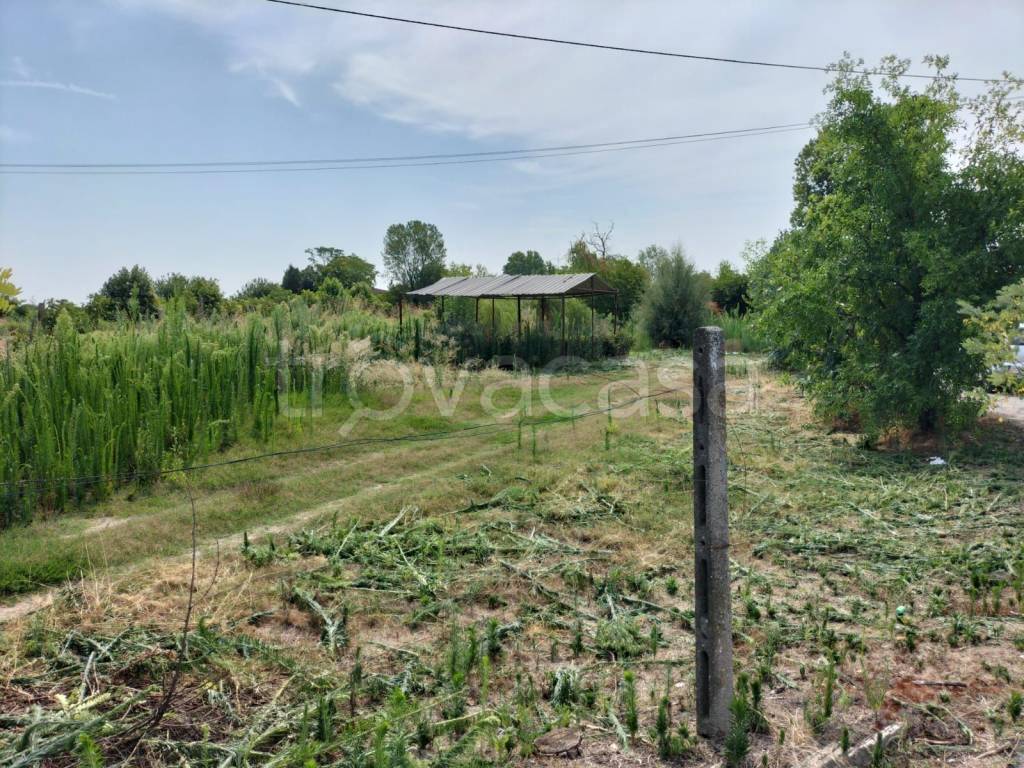 immagine annuncio 8 di 12