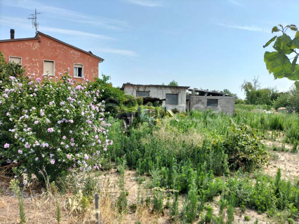 immagine annuncio 5 di 12