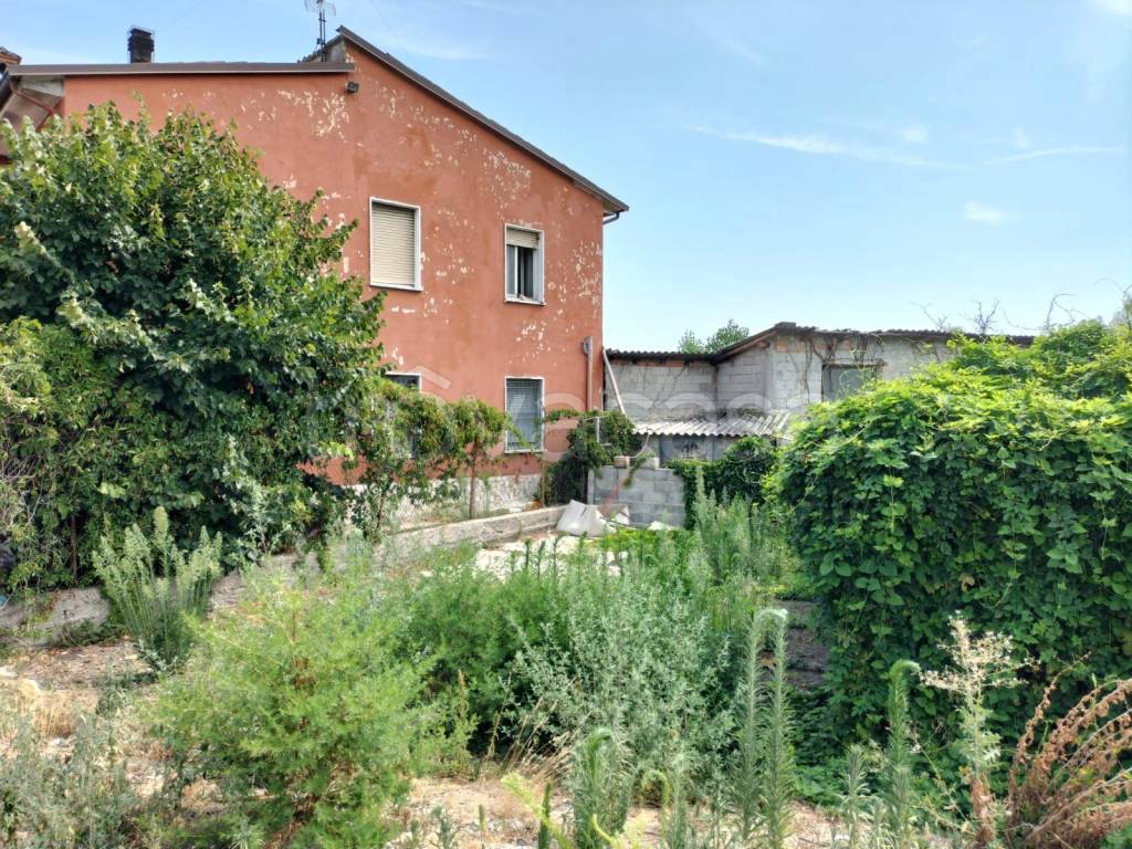 immagine annuncio 6 di 12