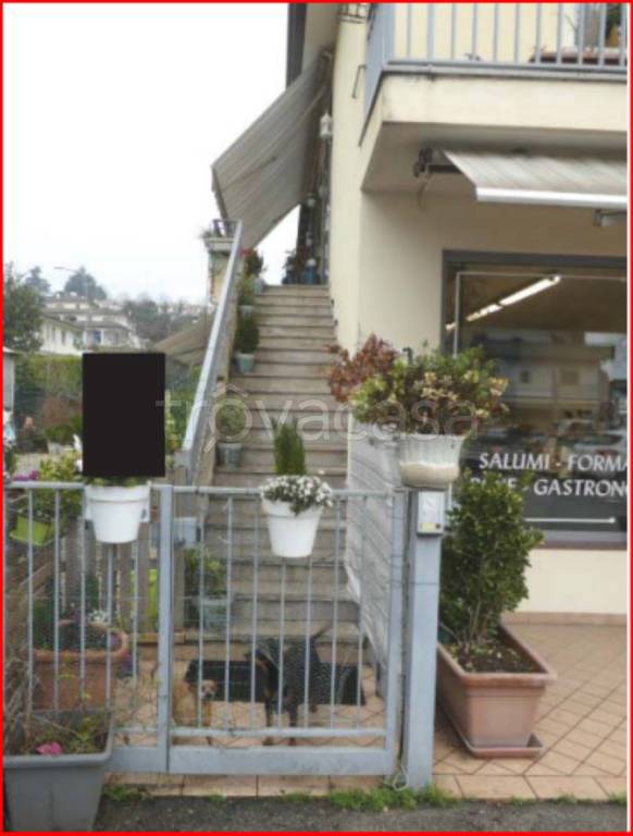 immagine annuncio 6 di 14