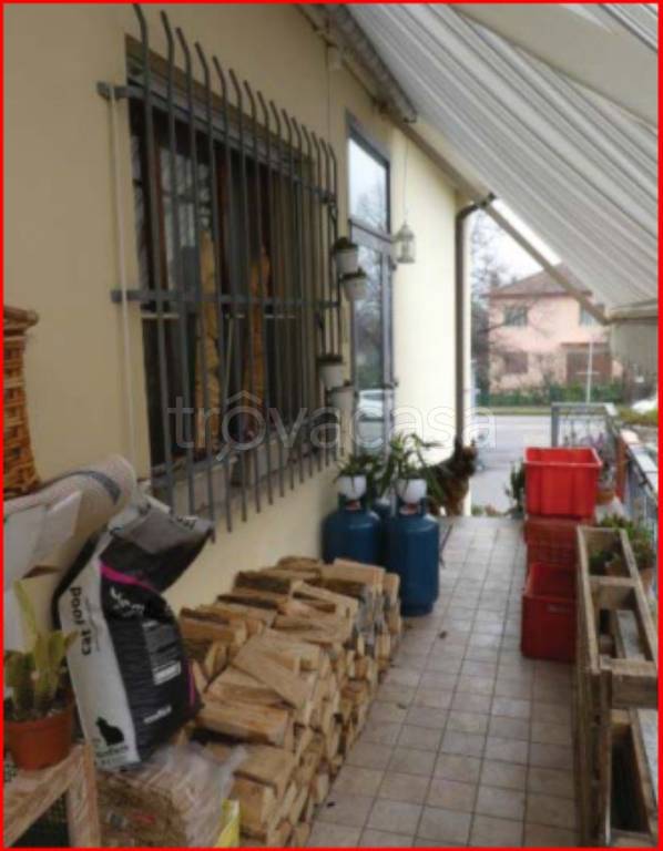 immagine annuncio 11 di 14