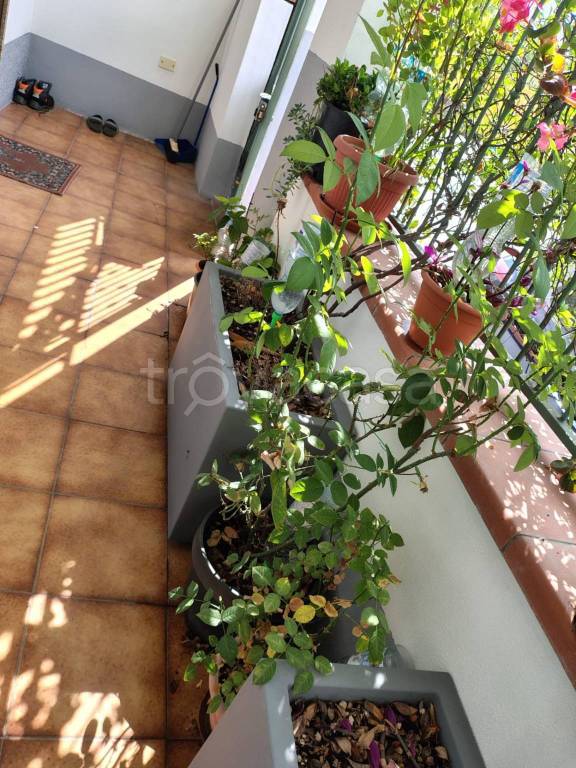 immagine annuncio 2 di 13