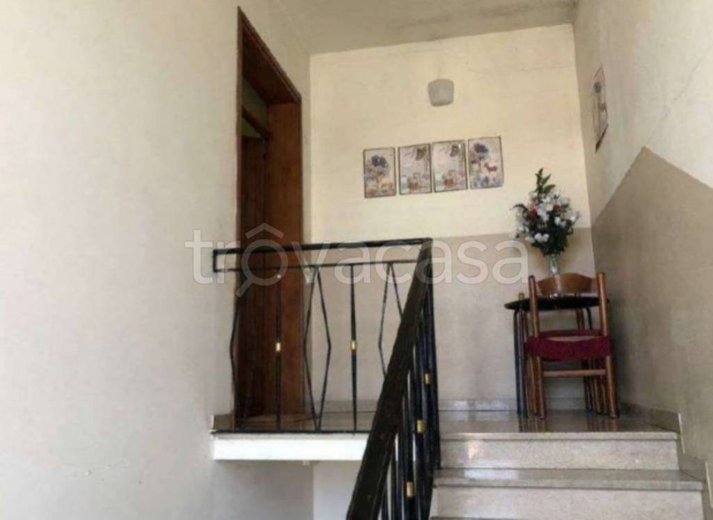 immagine annuncio 12 di 14