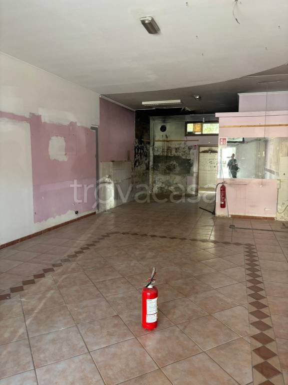 immagine annuncio 3 di 6