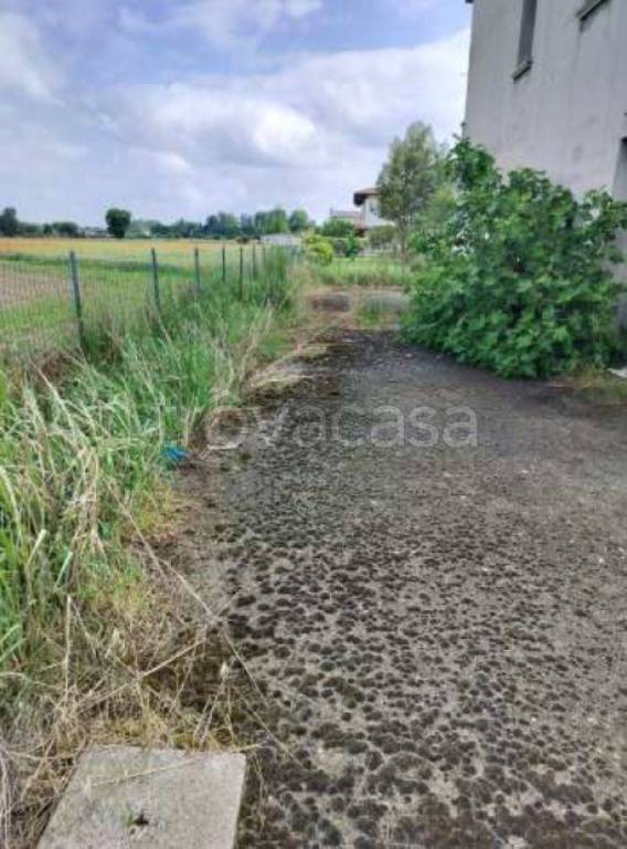 immagine annuncio 11 di 14