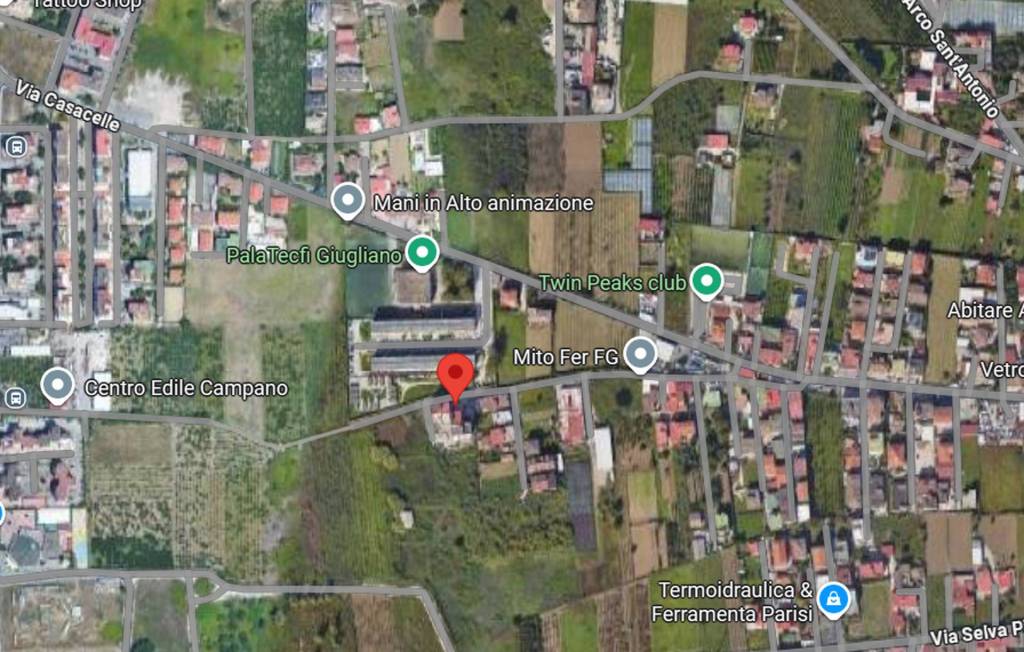 immagine annuncio 3 di 12
