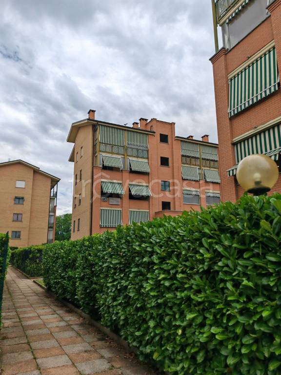 immagine annuncio 10 di 15