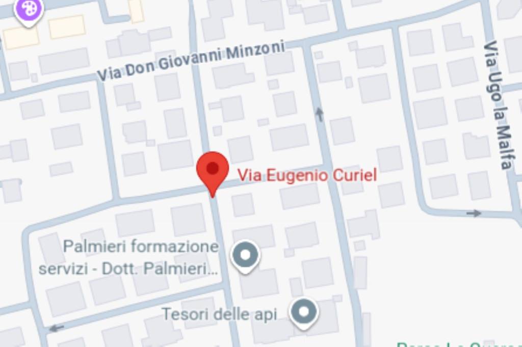 immagine annuncio 2 di 12