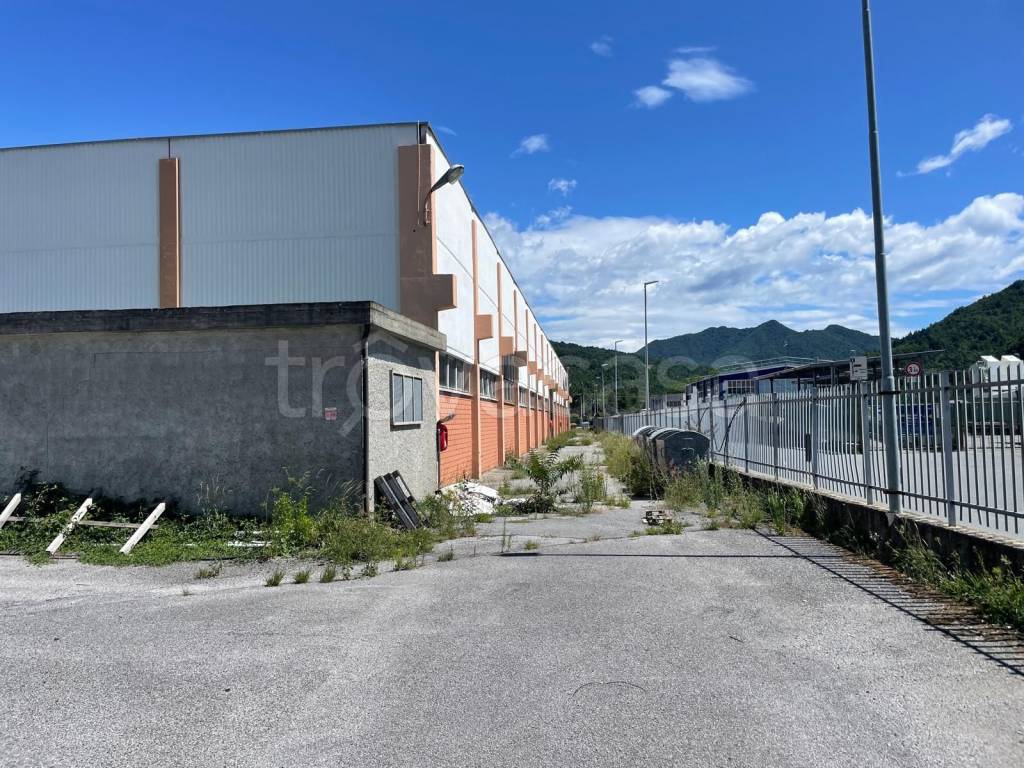 immagine annuncio 2 di 7