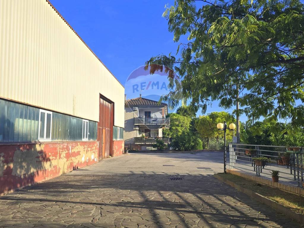 immagine annuncio 5 di 8