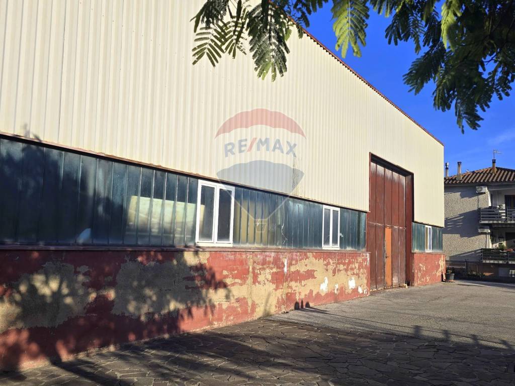 immagine annuncio 6 di 8