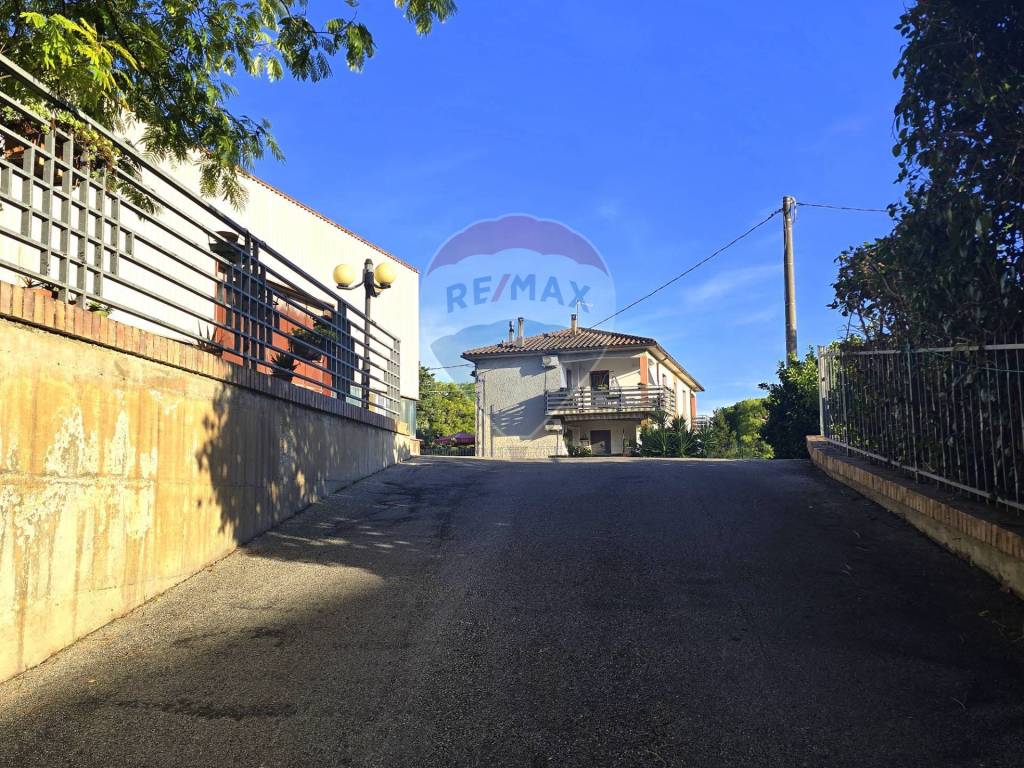 immagine annuncio 7 di 8