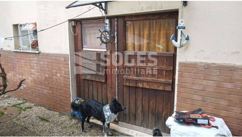 immagine annuncio 3 di 8