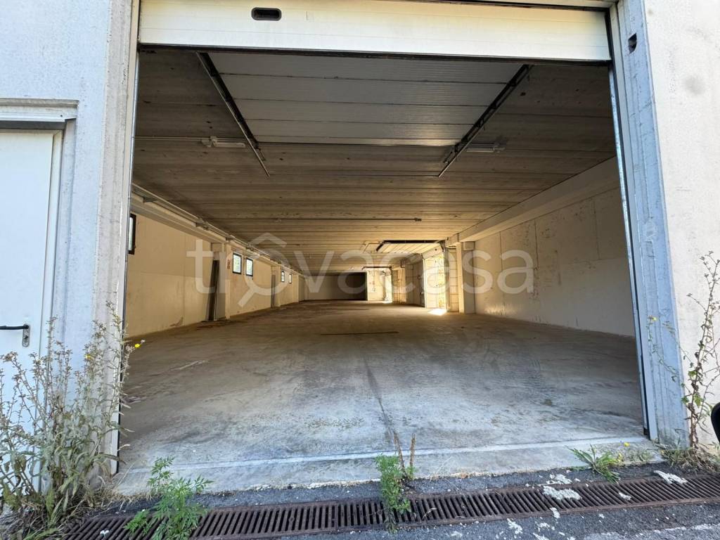 immagine annuncio 3 di 14