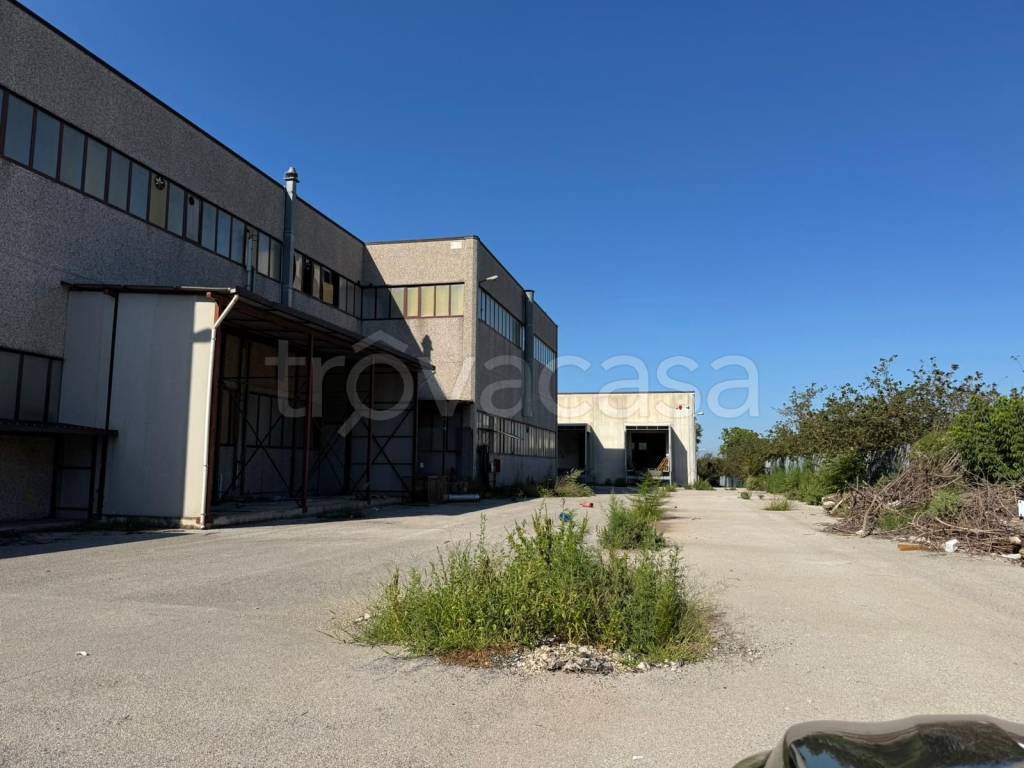 immagine annuncio 4 di 14