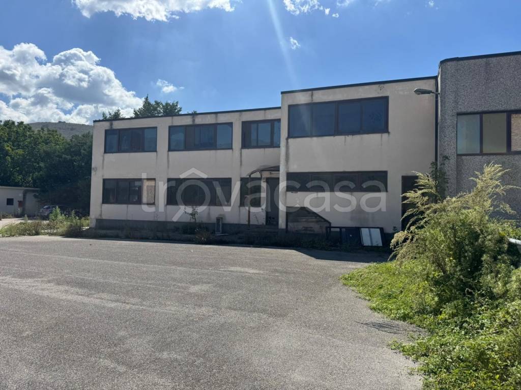 immagine annuncio 5 di 14