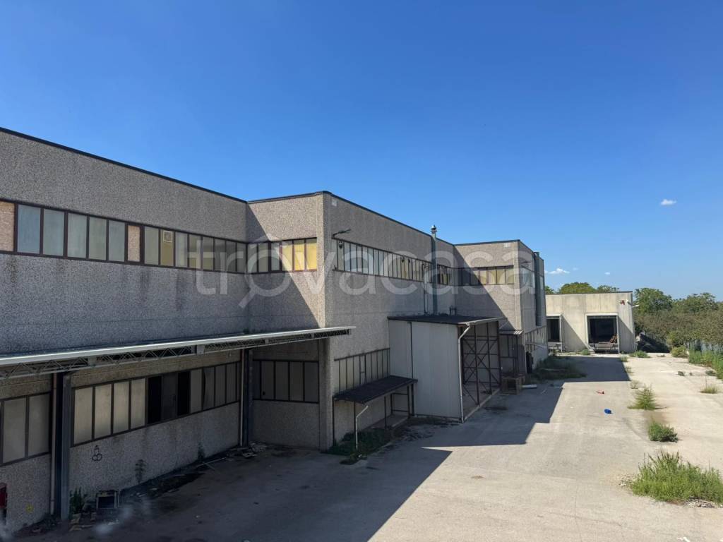 immagine annuncio 6 di 14