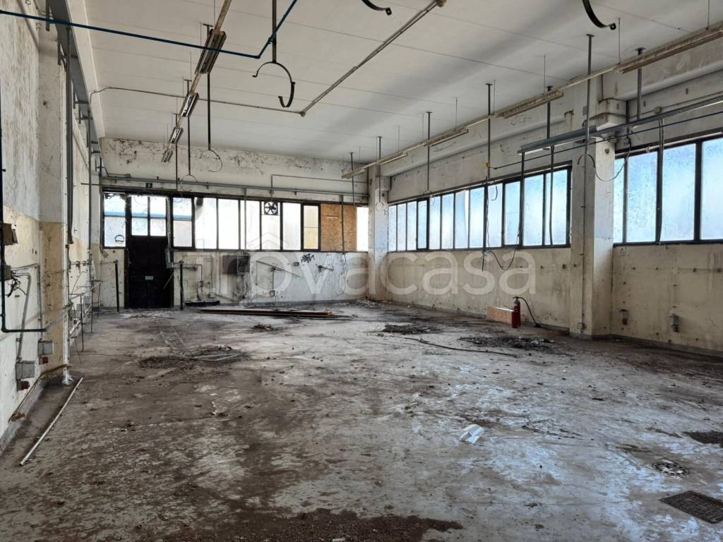 immagine annuncio 7 di 14