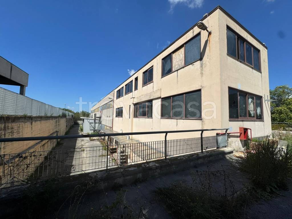 immagine annuncio 8 di 14