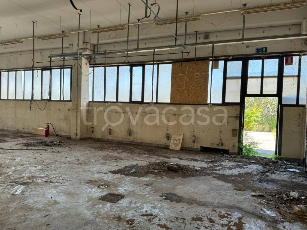 immagine annuncio 10 di 14