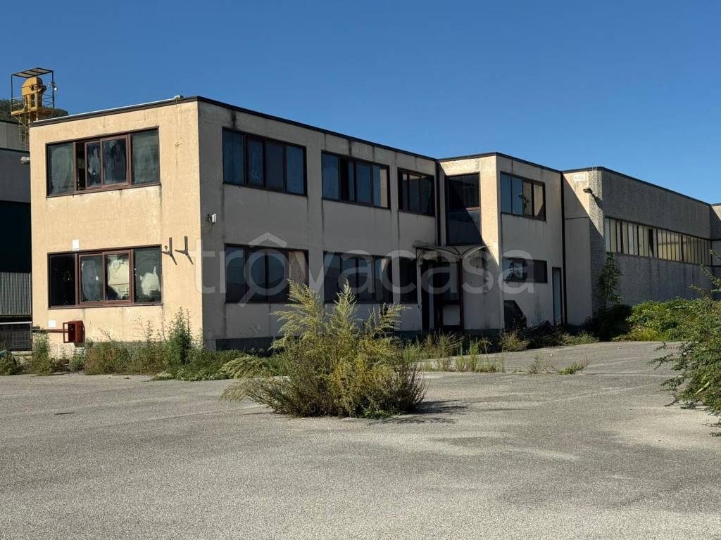 immagine annuncio 11 di 14