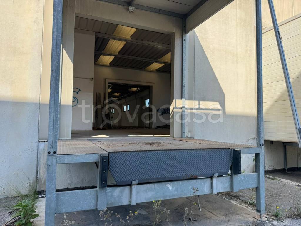 immagine annuncio 12 di 14