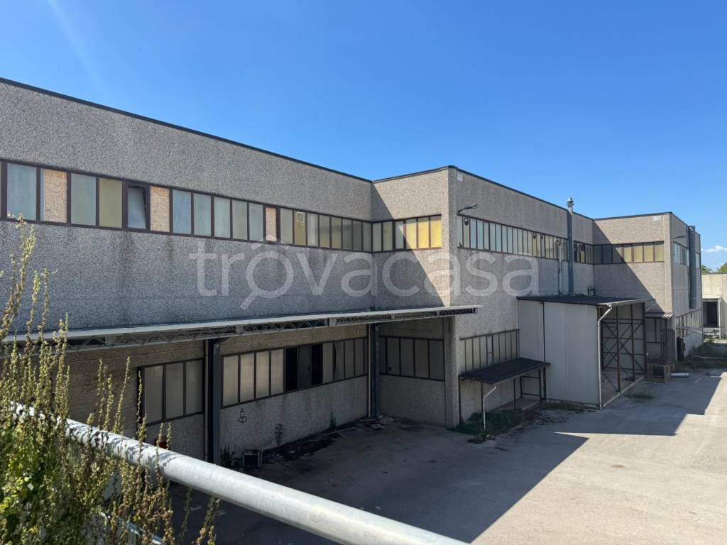 immagine annuncio 13 di 14