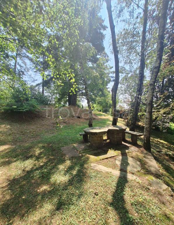 immagine annuncio 8 di 9