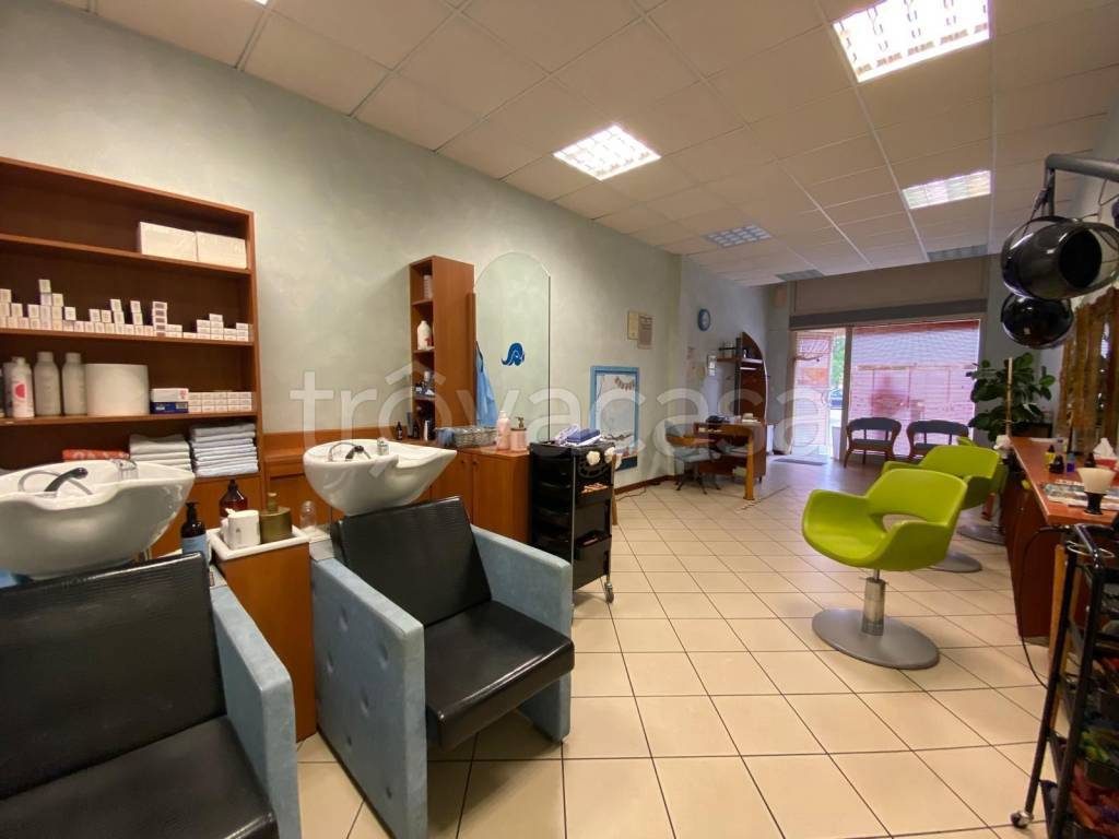 immagine annuncio 1 di 14