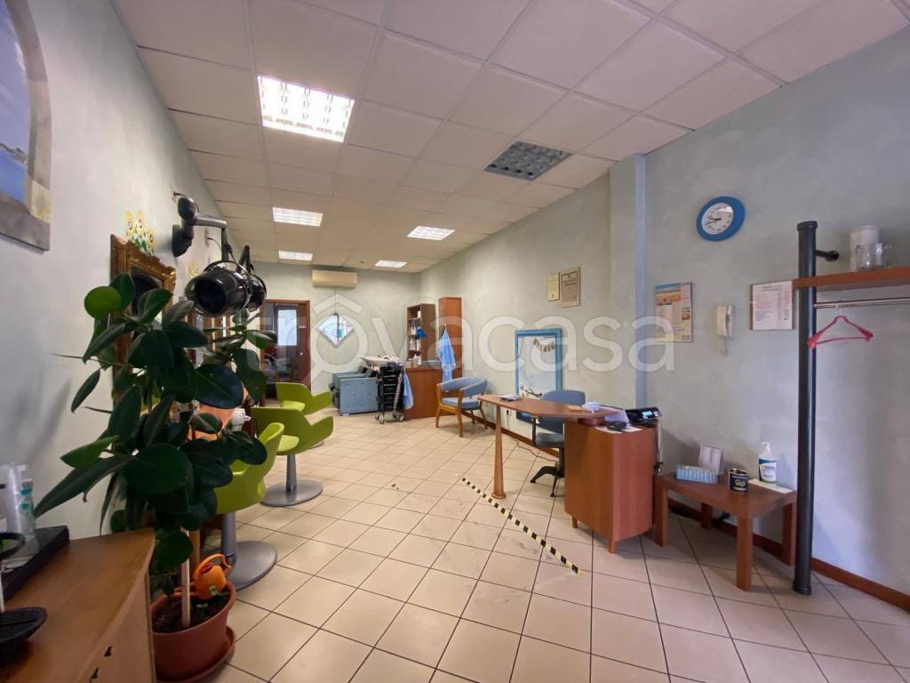 immagine annuncio 7 di 14