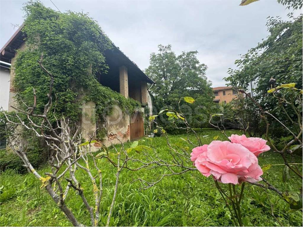 immagine annuncio 4 di 8