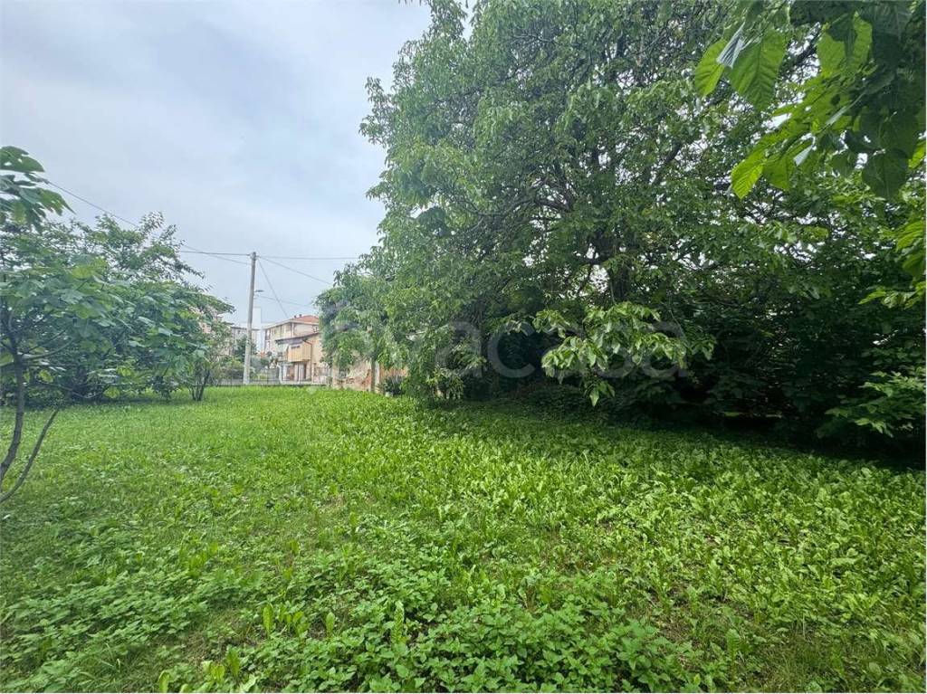 immagine annuncio 5 di 8