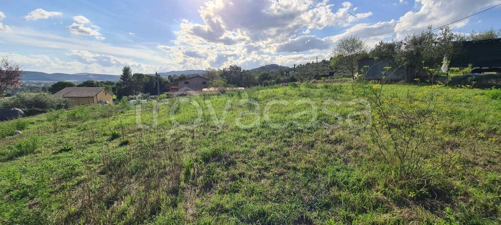 immagine annuncio 1 di 4