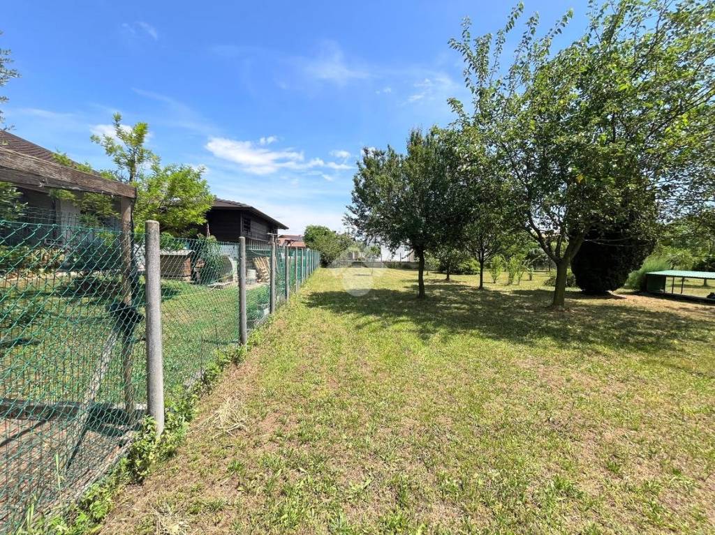 immagine annuncio 4 di 12