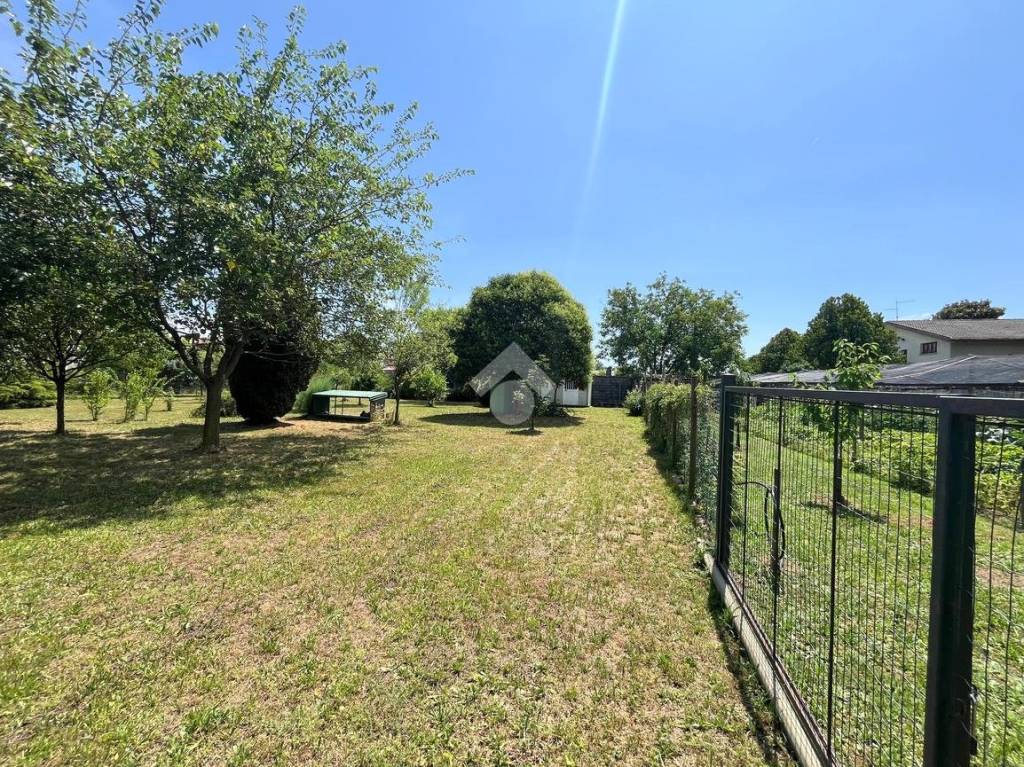 immagine annuncio 5 di 12