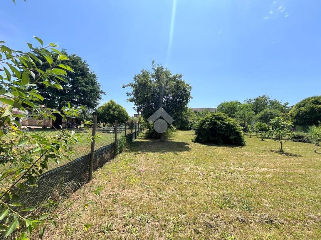 immagine annuncio 8 di 12