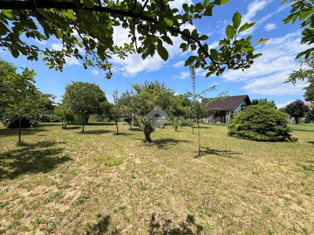 immagine annuncio 11 di 12