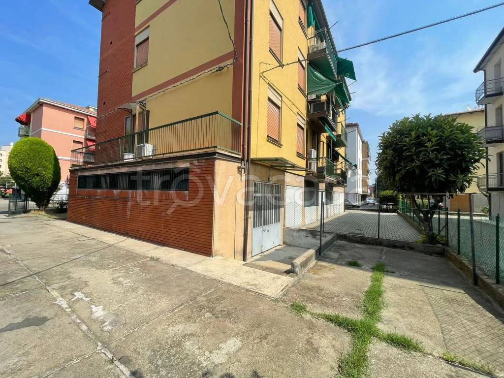 immagine annuncio 3 di 12