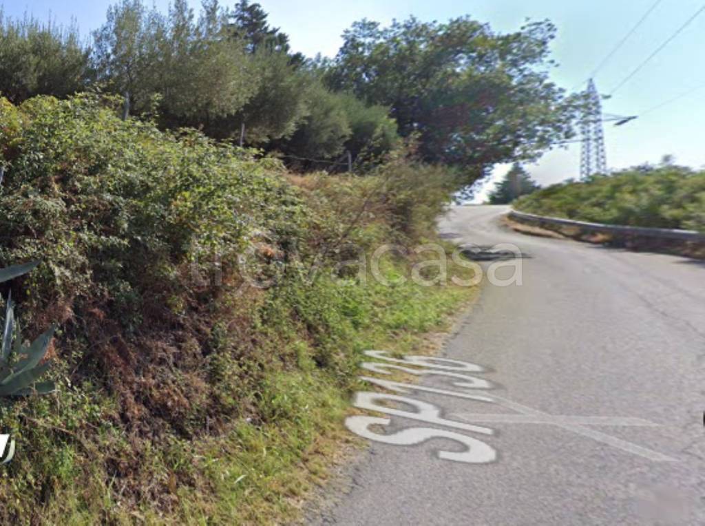 immagine annuncio 5 di 11