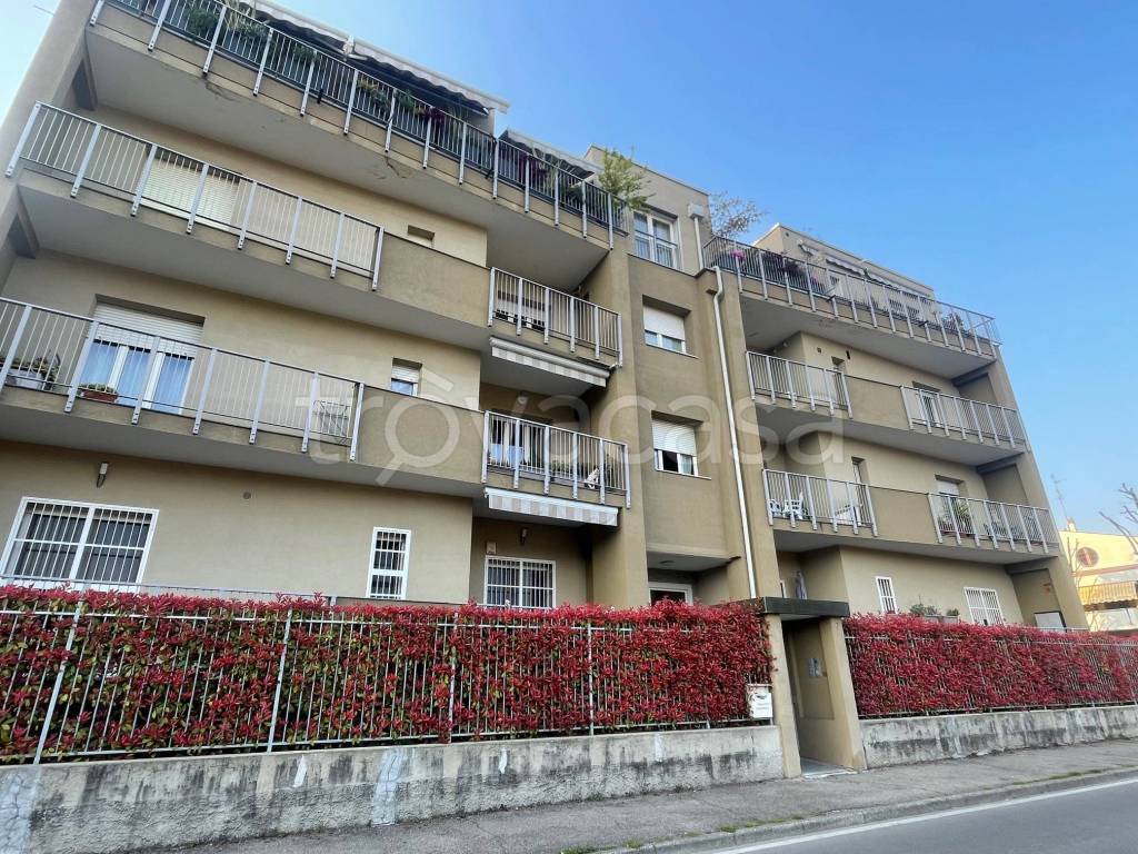 immagine annuncio 10 di 11