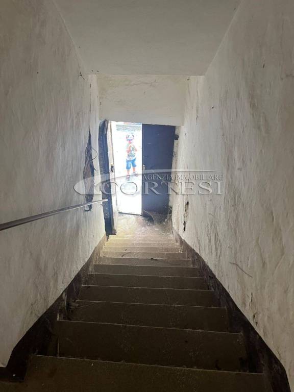 immagine annuncio 9 di 11