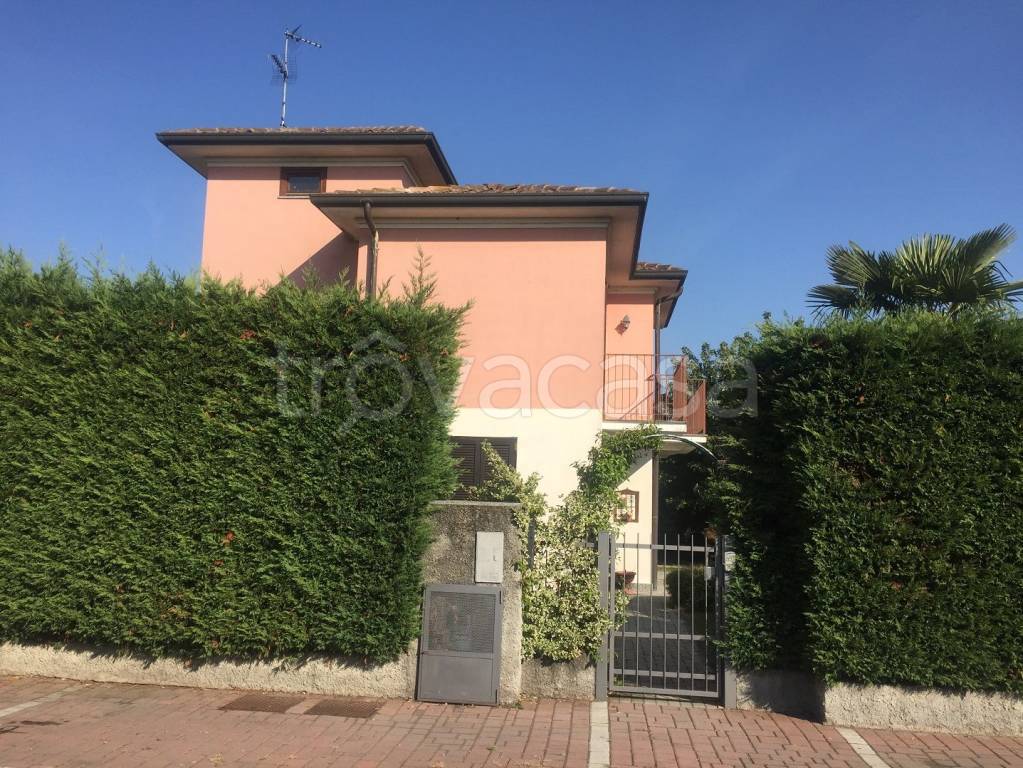 immagine annuncio 3 di 15