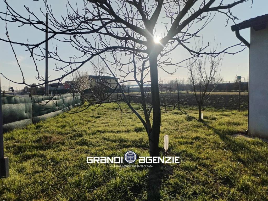 immagine annuncio 3 di 4