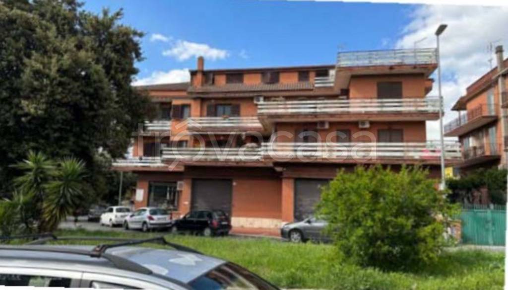 immagine annuncio 1 di 14