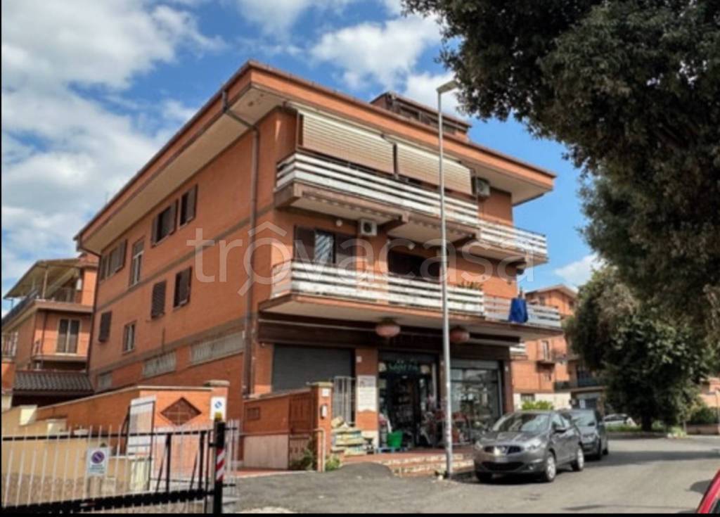 immagine annuncio 3 di 14