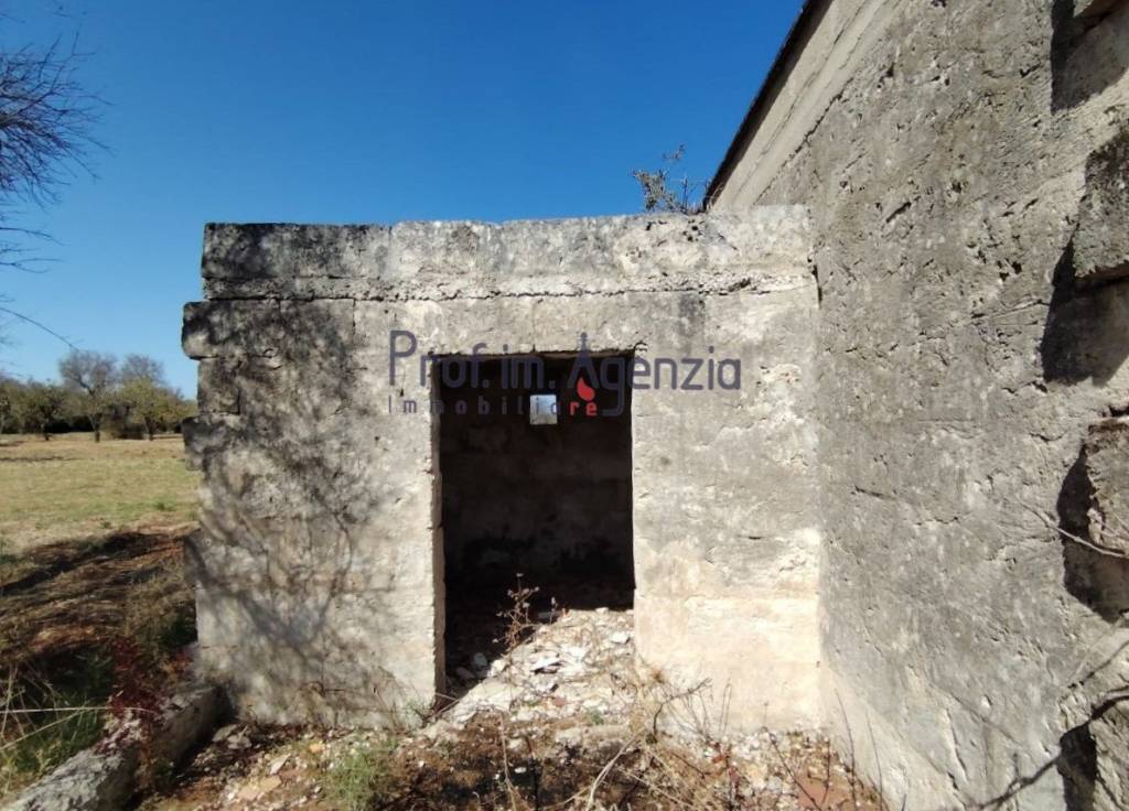 immagine annuncio 2 di 11