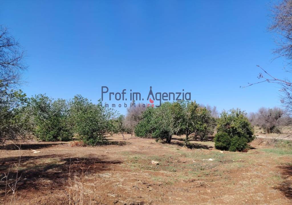 immagine annuncio 8 di 11