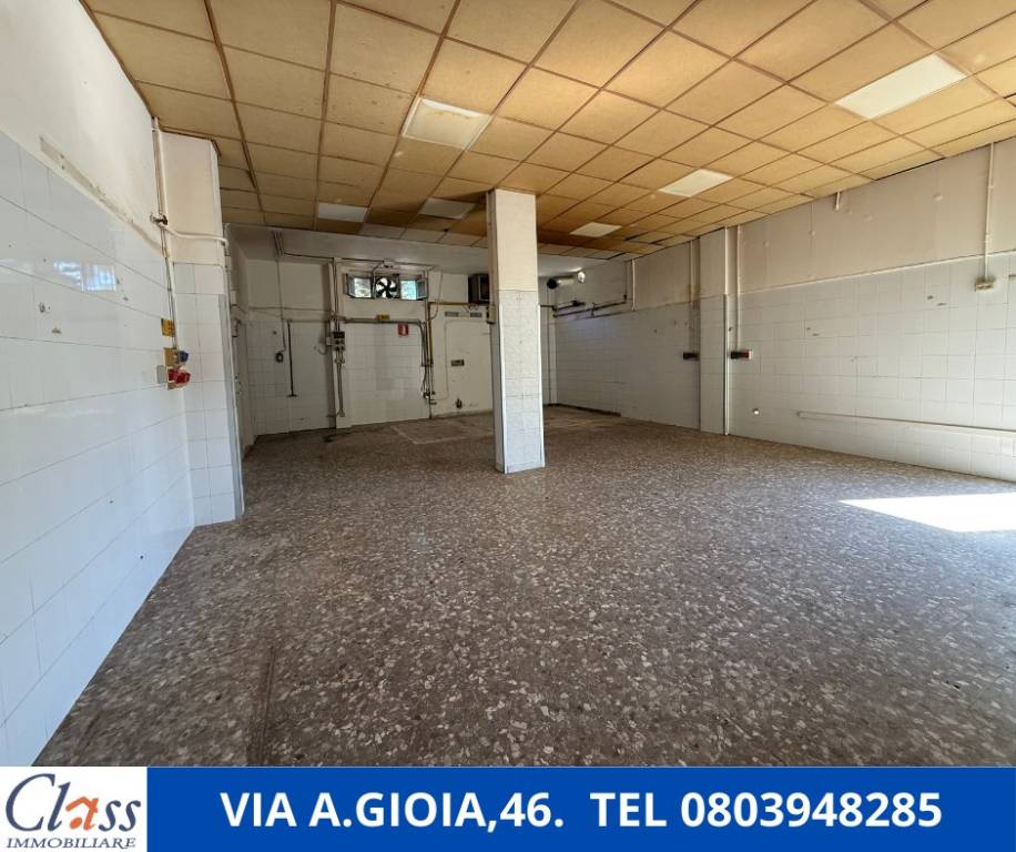 immagine annuncio 3 di 8