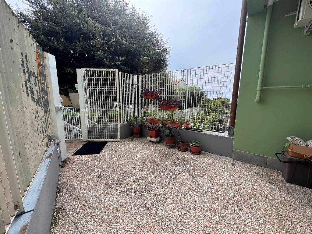 immagine annuncio 11 di 14