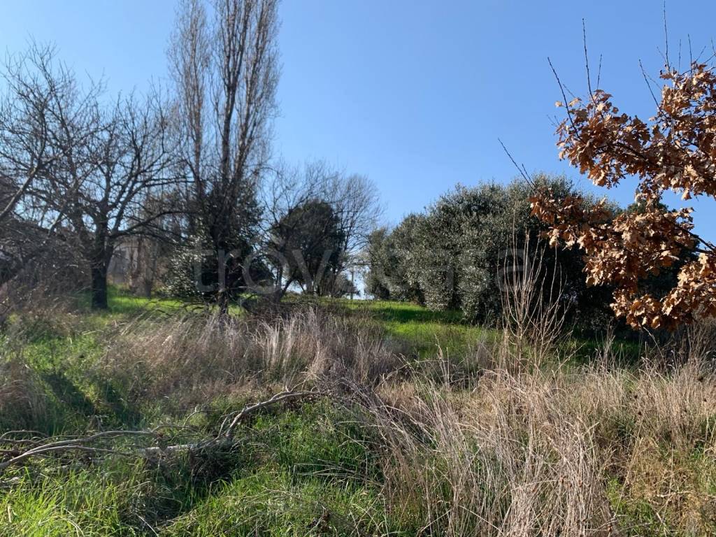 immagine annuncio 6 di 9